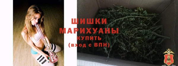 PSILOCYBIN Няндома