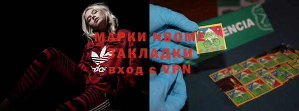 PSILOCYBIN Няндома