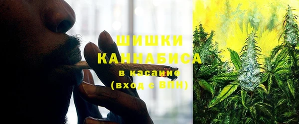 PSILOCYBIN Няндома