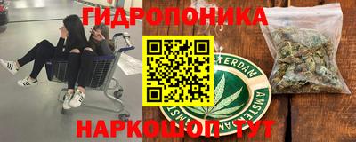 гидра Кингисепп