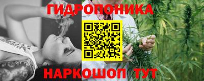 ПСИЛОЦИБИНОВЫЕ ГРИБЫ Коммунар