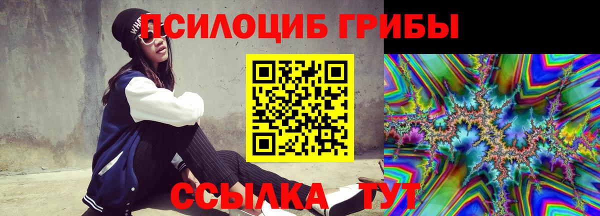 Нальчик  Псилоцибиновые грибы ЛСД  Вход с VPN 
